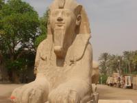 le sphinx du site de Memphis