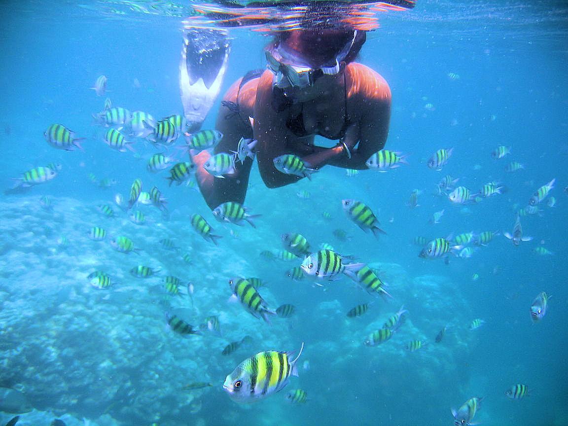 Snorkeling 1